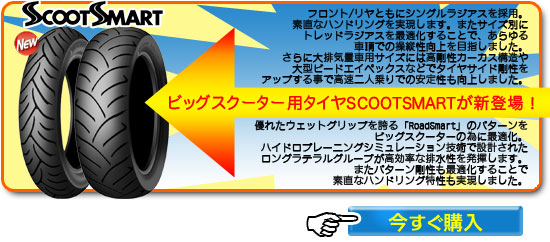 SCOOTSMART